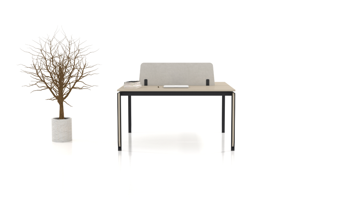 Akr Ofis İkili Zoom Workstation