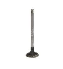 OEM 132024905R-SUBAP EKSOZ