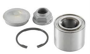 OEM 432102103R-ARKA  RULMANI CLIO IV