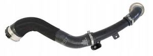 OE 166848796R-YAKIT HORTUMU H5H 1.3 TCE MEGANE IV