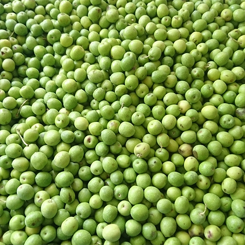 Ham Halhalı Zeytin 1 KG