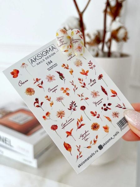 Aksioma Su Transferi Sticker 184