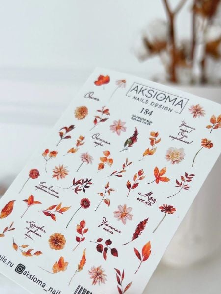 Aksioma Su Transferi Sticker 184