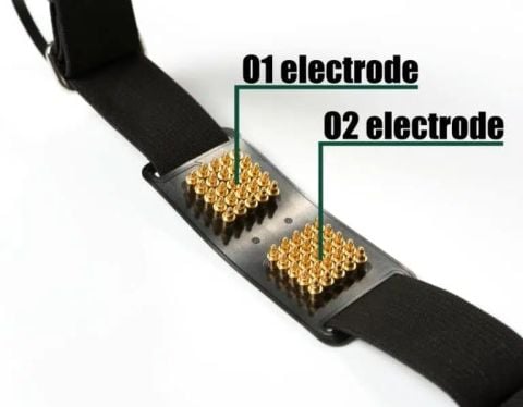 BrainAccess Halo – Kuru Elektrotlu EEG Başlığı