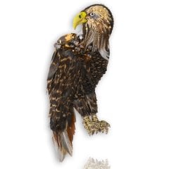 Kartal Broş
