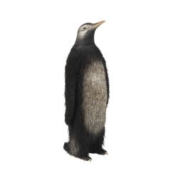 Pirinç Kürklü Penguen Heykeli