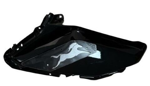 TVS RAIDER 125 SAĞ BENZİN DEPO ÖN KARENAJ (SİYAH) (ETİKET)