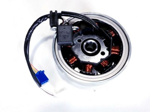 TVS ZEST MANYETO KOMPLE STATÖR İLE BERABER