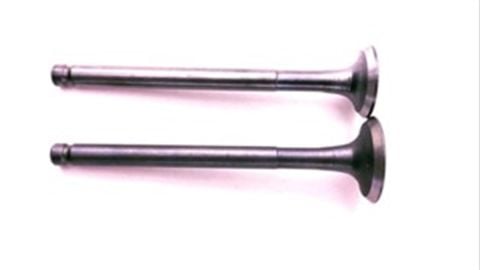 MOTOGUSTO RAPID50 80cc EMME VE EGZOZ SİBOP TAKIMI