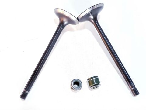 TVS RTR 180 SUBAP VE SUBAP KEÇESİ TAKIM ORJİNAL