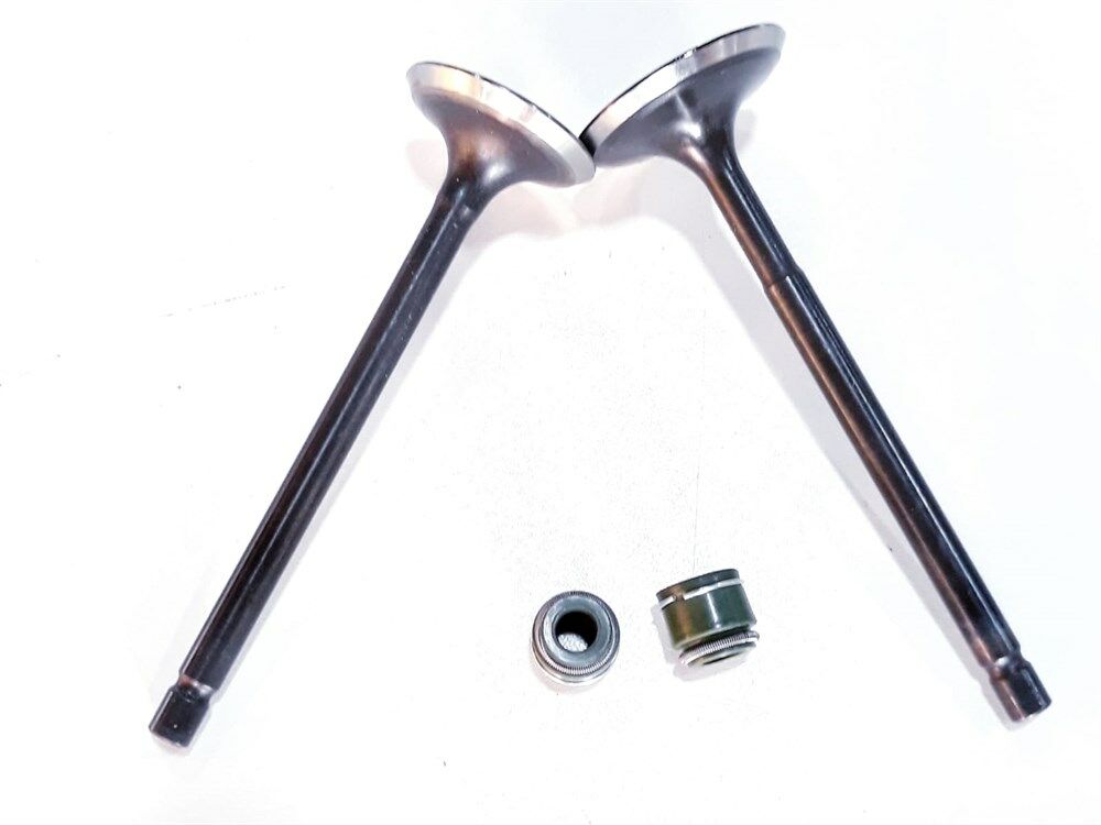 TVS RTR 180 SUBAP VE SUBAP KEÇESİ TAKIM ORJİNAL