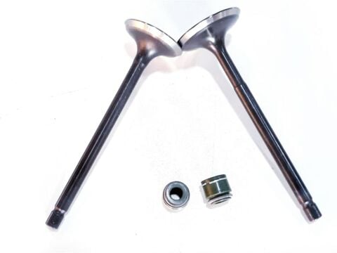 TVS RTR 180 SUBAP VE SUBAP KEÇESİ TAKIM ORJİNAL