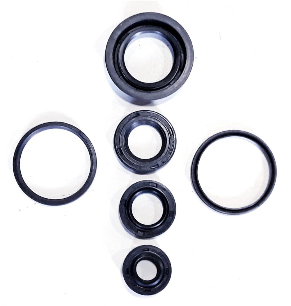 TVS PEP 75-90 KEÇE TAKIMI SETİ 6 LI