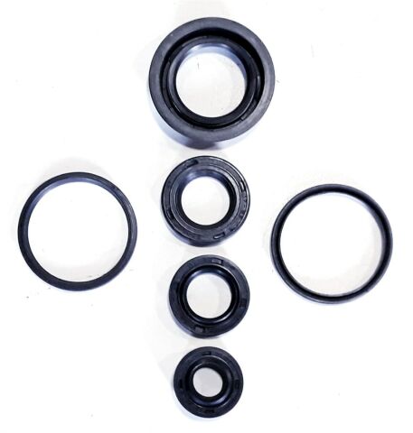 TVS PEP 75-90 KEÇE TAKIMI SETİ 6 LI