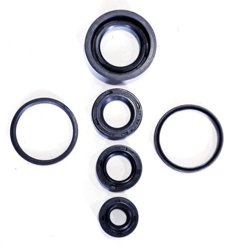 TVS PEP 75-90 KEÇE TAKIMI SETİ 6 LI