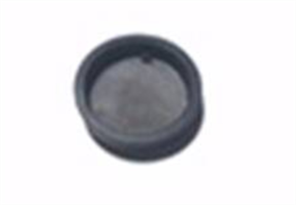 TVS APACHE RTR EKSANTRİK MİLİ TAPASI TW