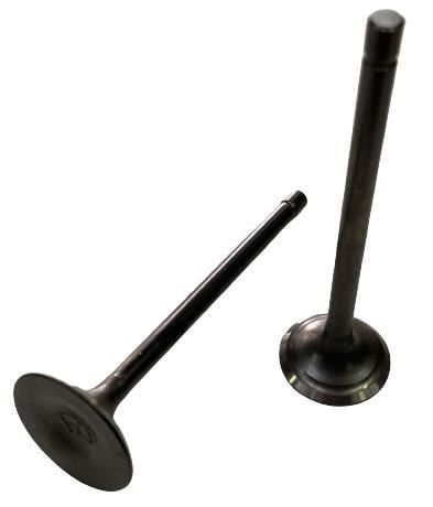 RAMZEY TORNADO FORTUNA EMME EGZOZ SİBOP TAKIM