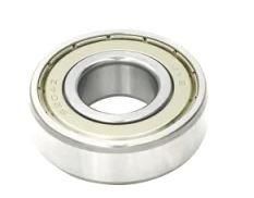 6004 ZZ RULMAN İTHAL