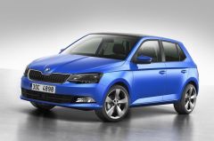 Coil-Ex Skoda Uyumlu Fabia 5J 2009 Sonrası Spor Yay 45 / 45 Mm