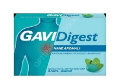 GAVIDIGEST 12 PASTIL