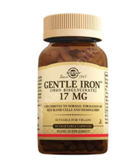 GENTLE IRON KAPSUL 17 MG 90 KAPSULLUK AMBALAJ