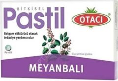 OTACI BITKISEL PASTIL MEYANBALI 16 PASTILLIK AMBALAJ