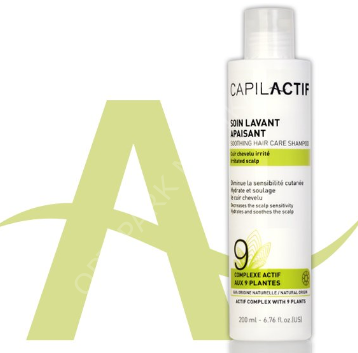 CAPILACTIF SAMP KURU/TAHRIS SAC