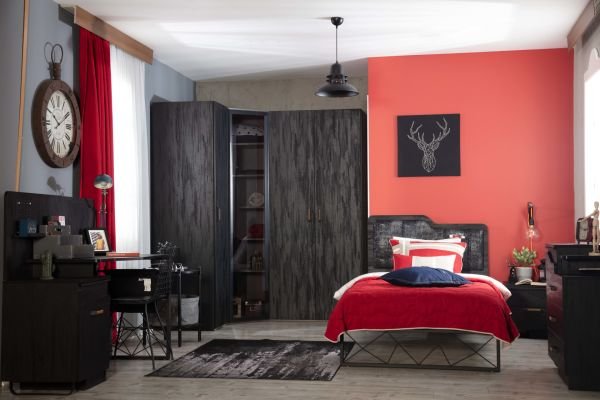 Main Wardrobe | 2-Doors (Dark)