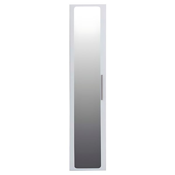 Door (Mirror) | Torino