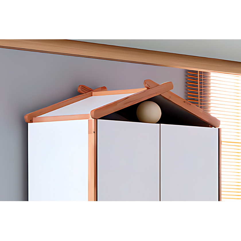 Roof (Wardrobe) | My House