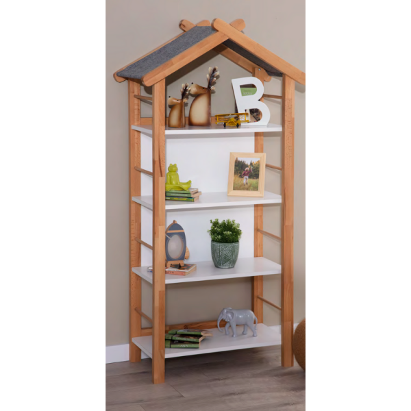 Bookcase | My House
