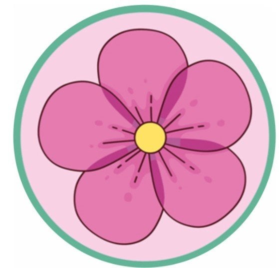Halı Yuvarlak (Pembe) | Benim Evim