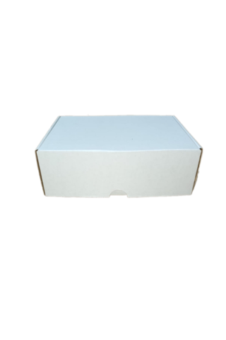 E-Ticaret Kargo Kutusu 25x17x9 cm Beyaz