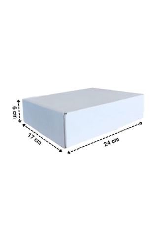 E-Ticaret Kargo Kutusu 24x17x6 cm