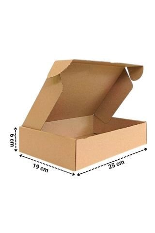 E-Ticaret Kargo Kutusu 25x19x6 cm