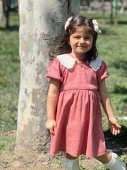 Gül kurusu kısa kollu fisto yakalı elbise.