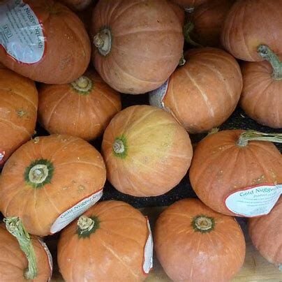 Kabak çekirdeği (Cucurbita sp).: Saç, Üreme ve Genel Sağlık İçin Bir Mucize Bitki