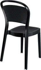 SİESTA BEE SANDALYE