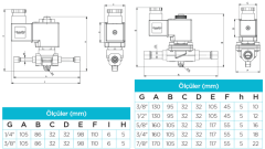 1/2'' Kaynaklı 10 Mm Orifisli Pilotlu Tip Solenoid Vana 220v