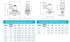 5/8'' Rakorlu 12.5 Orifisli Pilotlu Tip Solenoid Vana 220v