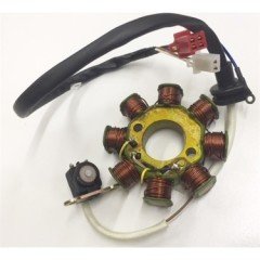 TVS APACHE RTR STATÖR OEM.