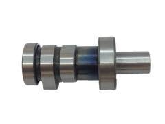 PULSAR NS 200 EKSANTRİK MİLİ ORİJİNAL.