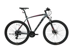 Bisan MTX 7300 29 Jant Dağ Bisikleti Gri-Mavi 48 cm