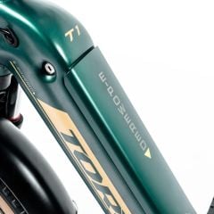 Torc 20 Jant Fatbike Katlanır Elektrikli Bisiklet Yeşil