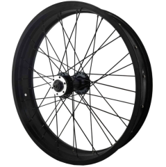 Arka Jant 26 Örülü Fatbike Disk Uyumlu