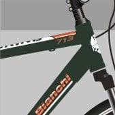 Bianchi Touring 713 Hidrolik Fren 24 Vites 28 Jant Şehir Bisikleti Metalik Koyu Yeşil-Beyaz/Bakır