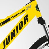 Bianchi Junior 24 Jant Dağ Bisikleti