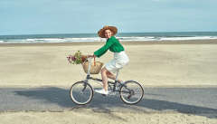 Dahon Boardwalk D7 Siyah
