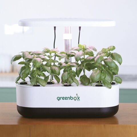 Greenbox Mini - Topraksız Tarım Kiti