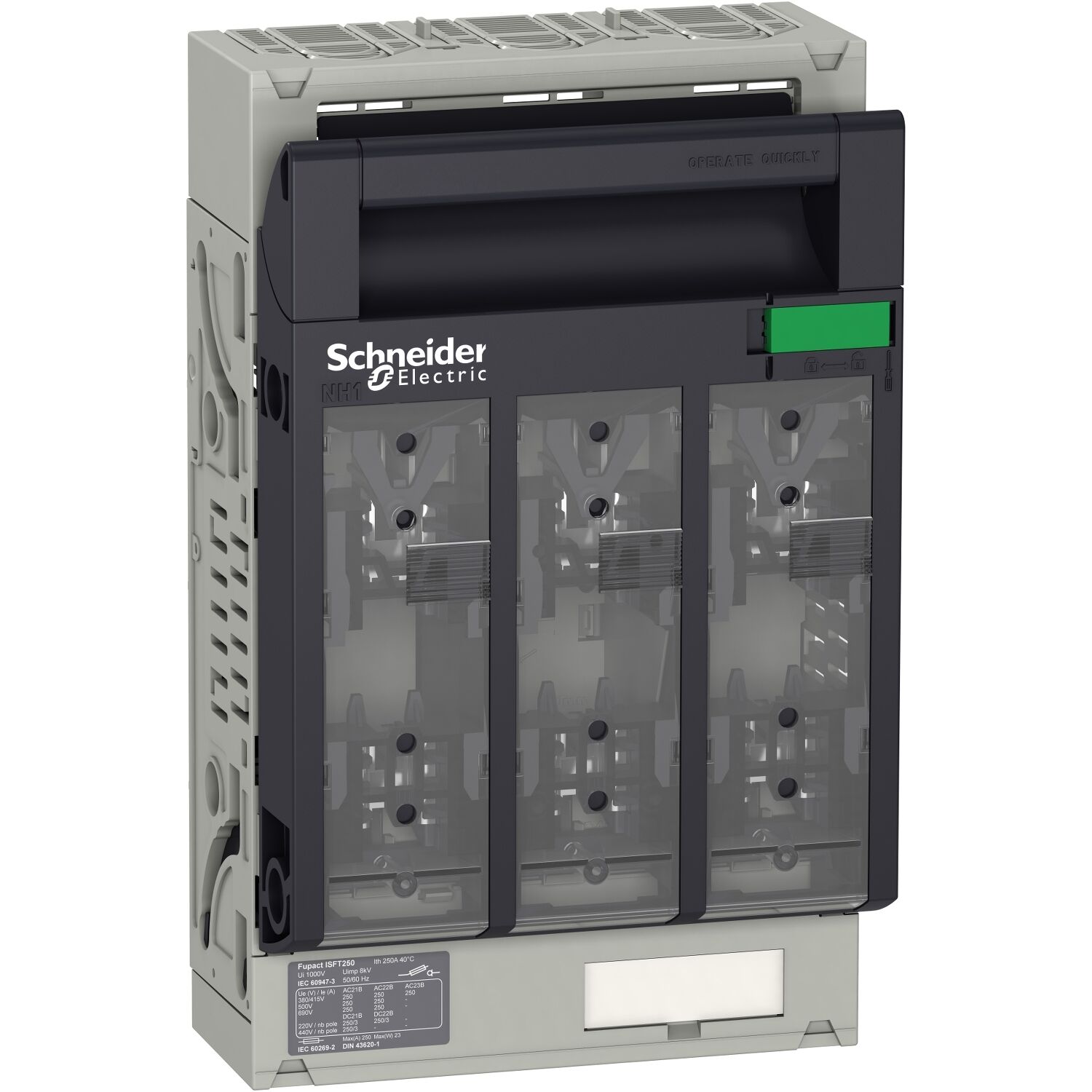 Schneider Electric LV480804 Sigortalı yük ayırıcı, FuPacT ISFT250, 250 A, DIN NH01, 3 kutuplu, arka plakaya montaj